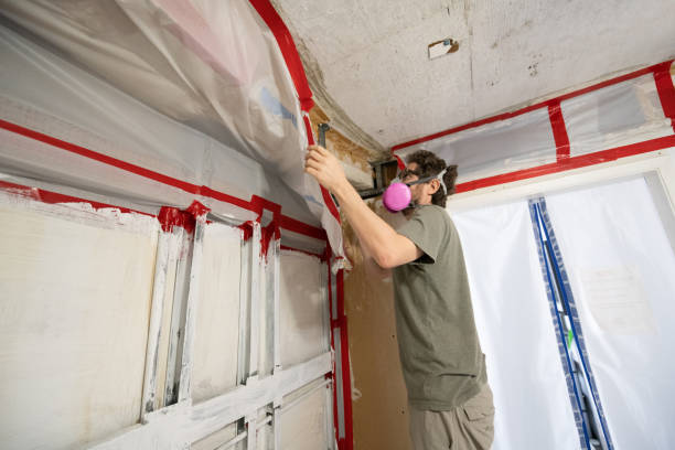 Trusted Chesterbrook, PA Mold Removal Experts